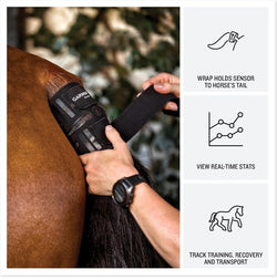 Garmin Blaze view real time stats