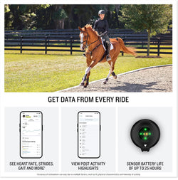 Garmin Blaze get data from every ride