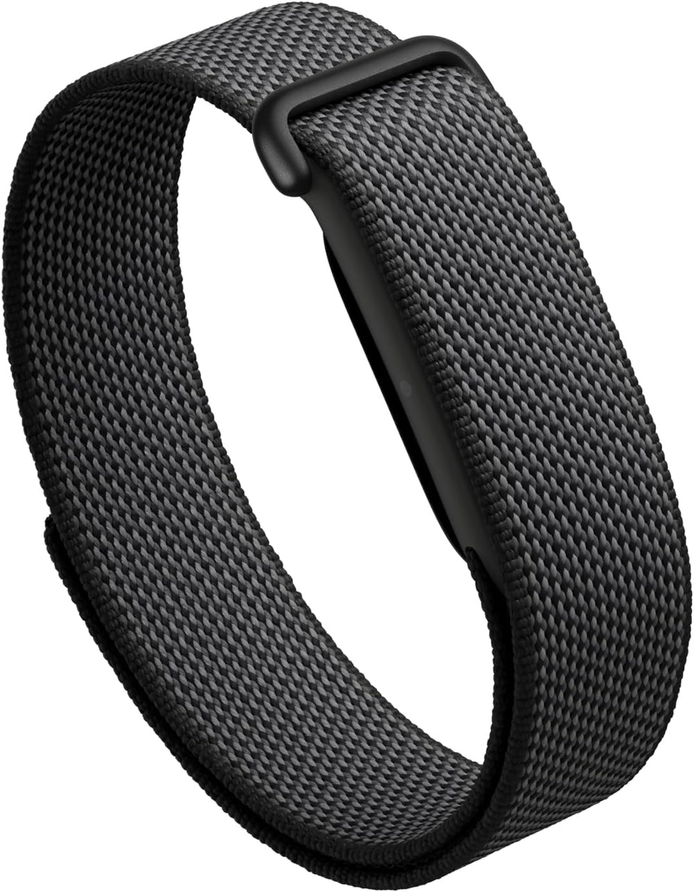 Google Fitbit Air in Obsidian