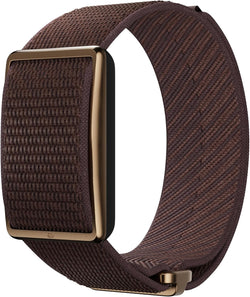 Polar Loop in brown